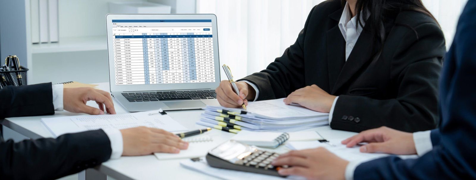Corporate accountant using accounting software on a laptop