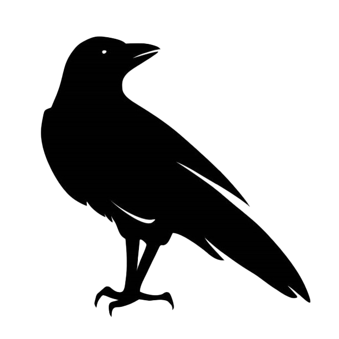 Raven-Transparent